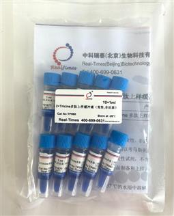 2×Tricine多肽上樣緩沖液（變性，非還原）